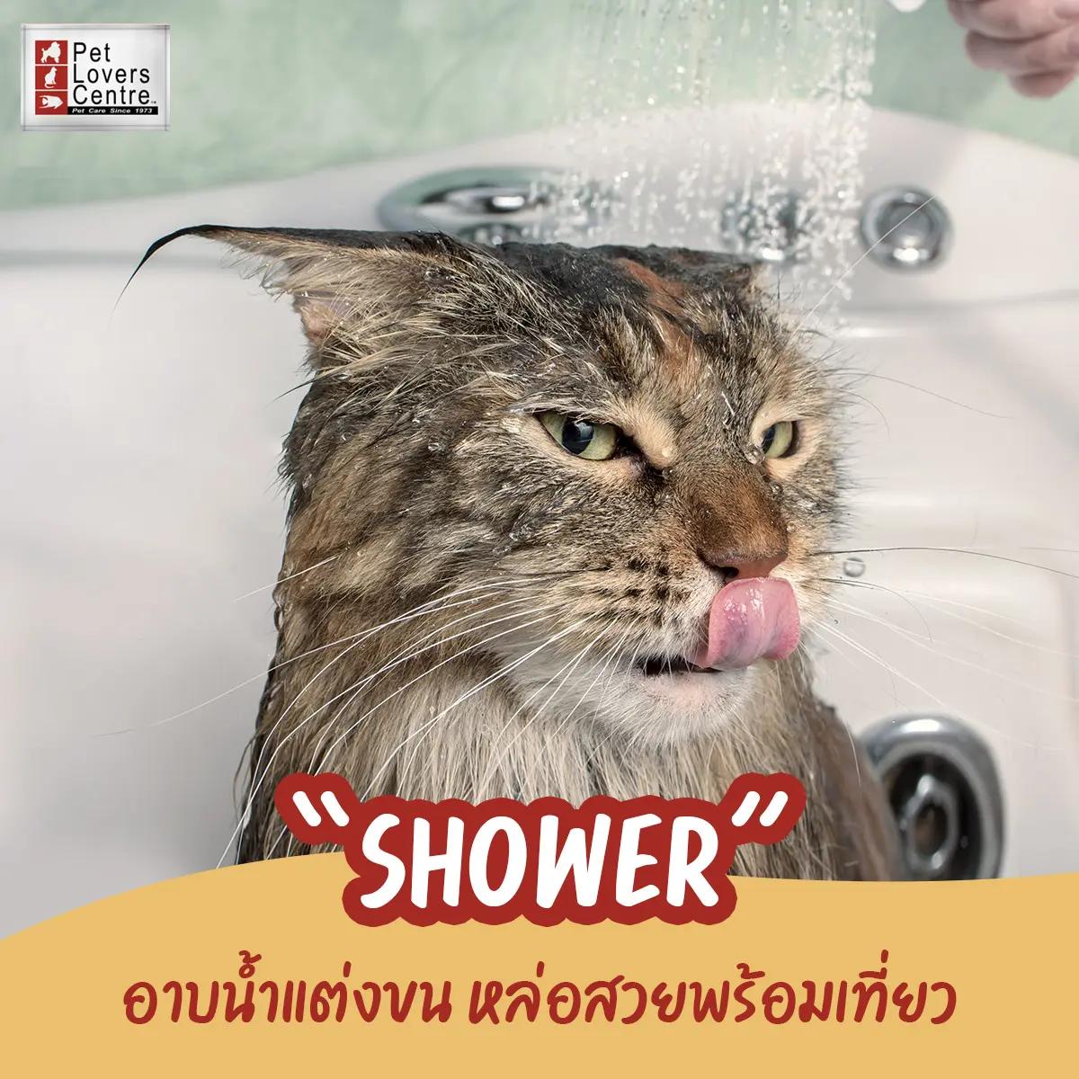  Pet Lovers Centre สาขา เซ็นทรัล มหาชัย