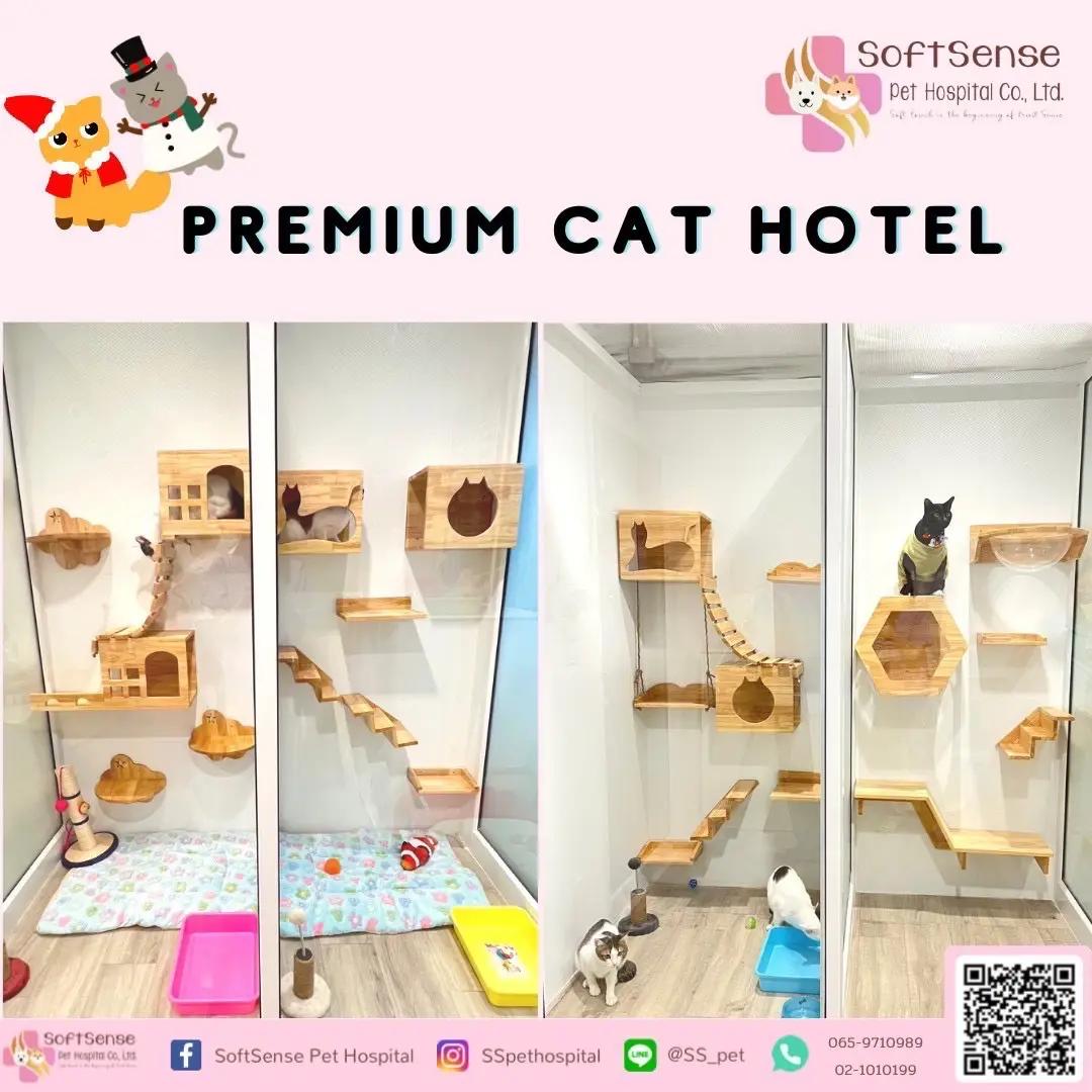 โรงพยาบาลสัตว์ซอฟท์เซนส์ : SoftSense Pet Hospital