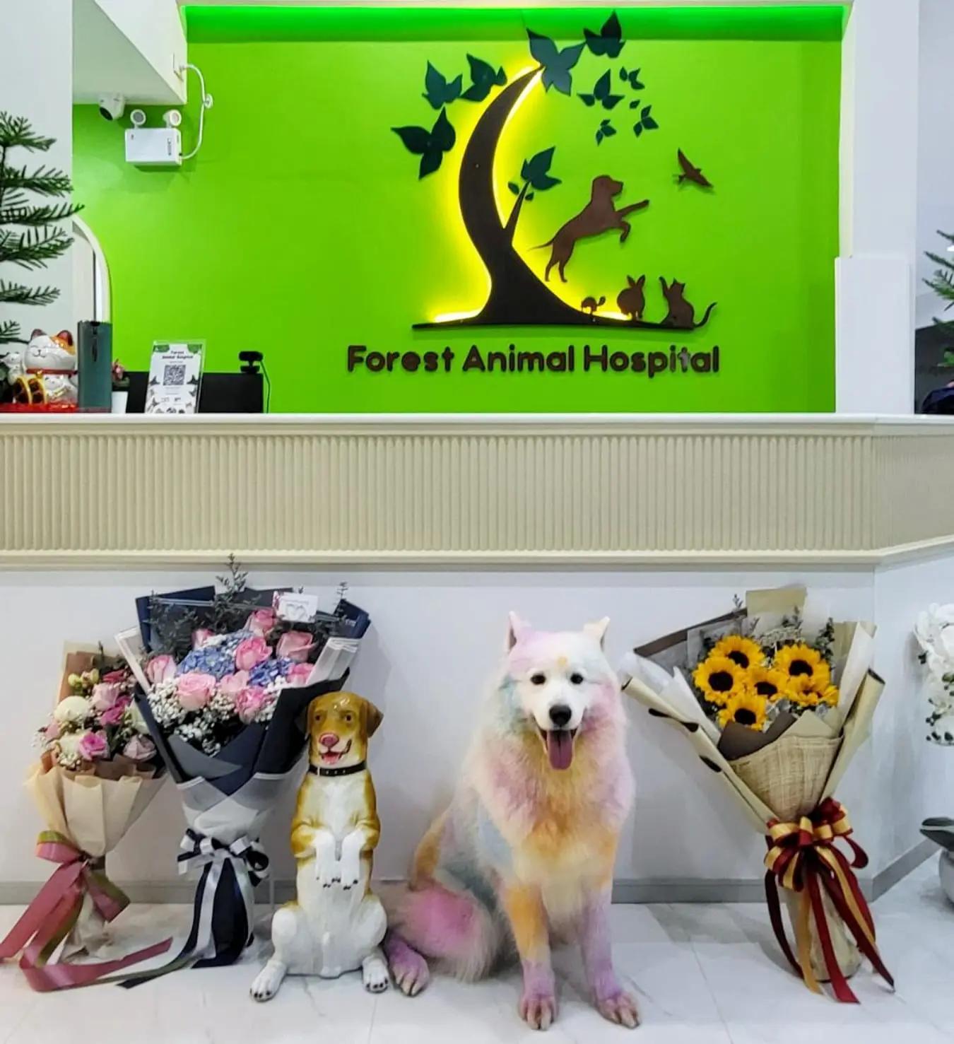 Forest Animal Hospital (โรงพยาบาลสัตว์ฟอเรส)