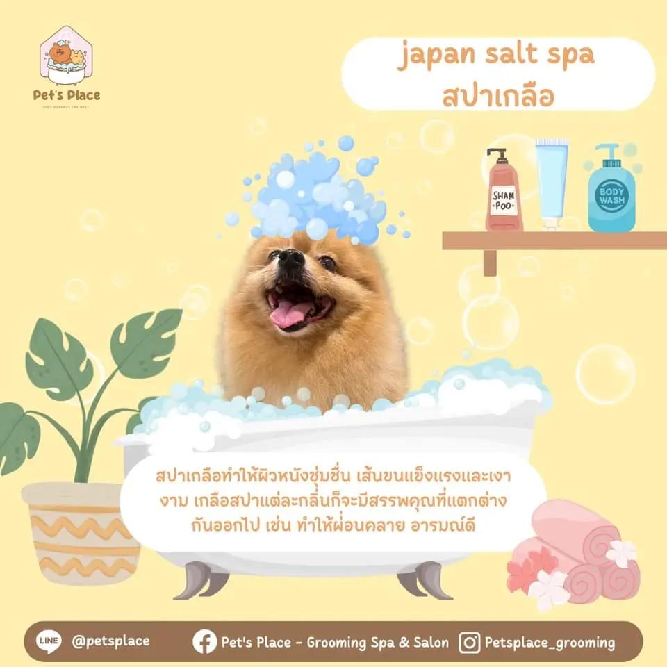 Pet’s Place Grooming Spa & Salon
