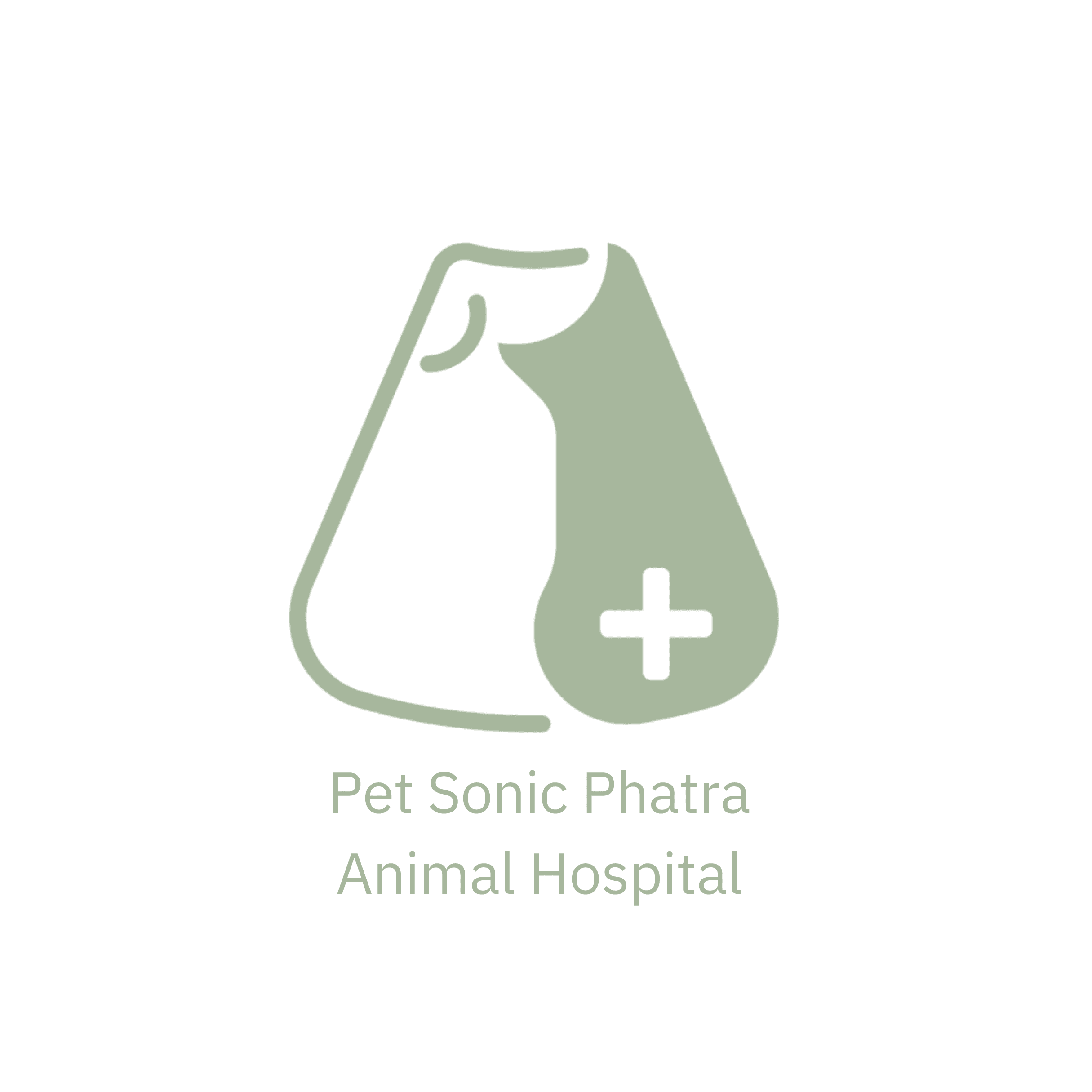 โรงพยาบาลสัตว์ เพ็ทโซนิค ภัทร Pet Sonic Phatra Animal Hospital