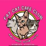  Fat Cat Cafe Club (คาเฟ่แมวอ้วน) 