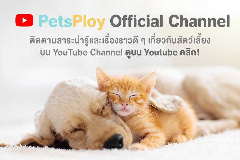 PetsPloy Official Channel