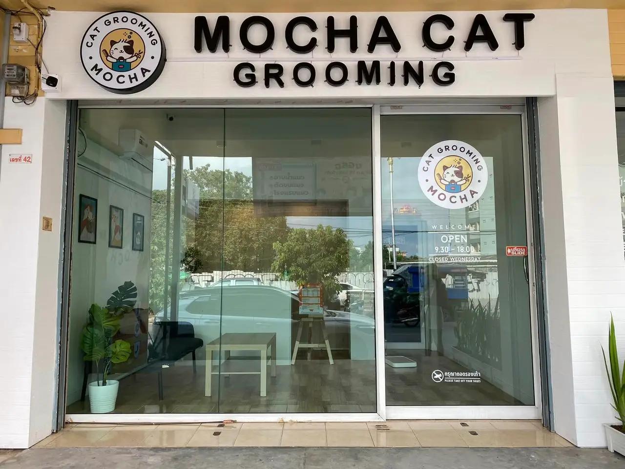 Mocha Cat Grooming