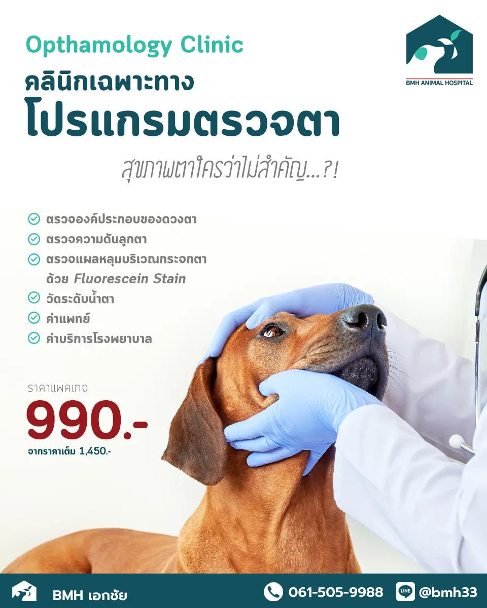 โรงพยาบาลสัตว์ บีเอ็มเอช เอกชัย : BMH Animal Hospital Ekachai 