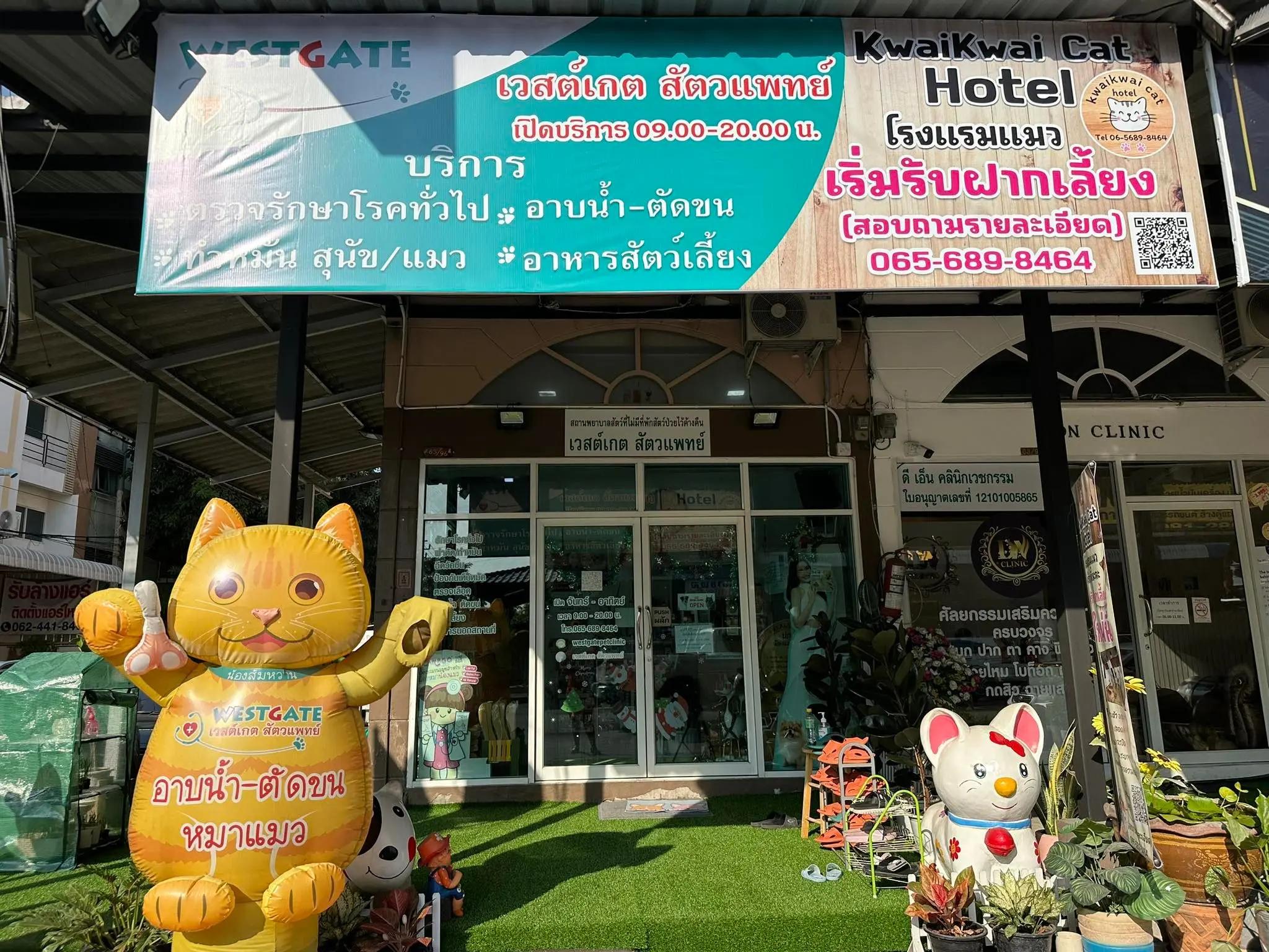 โรงแรมแมวบางใหญ่ Kwai Kwai Cat Hotel
