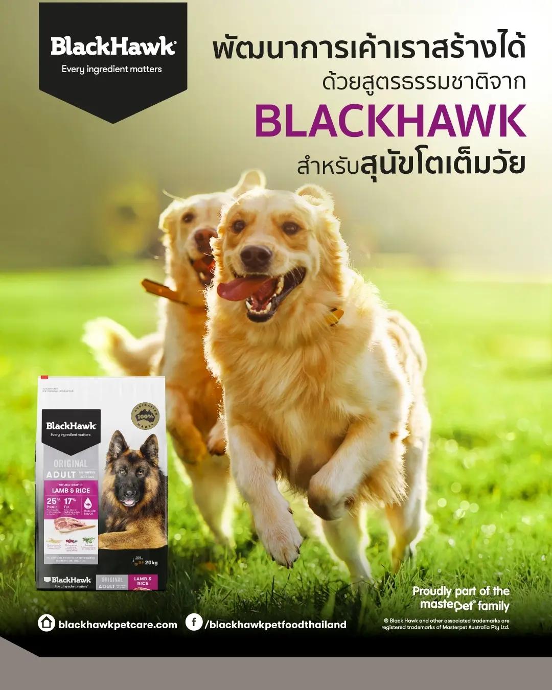 BLACK HAWK Thailand 