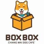  Box Box Dog Cafe (นิมมาน ซ.9) Dog Cafe 