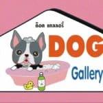  Dog Gallery (Paradise Park) 