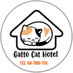 Gatto Cat Hotel 